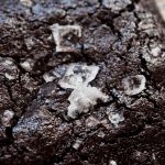Blackout Brownies – Two ways – Cakey and Fudgey – Buttermilk Pantry