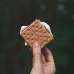 Happy National S'mores Day – The Happy Eggplant Gourmet Food & Kitchen  Shoppe