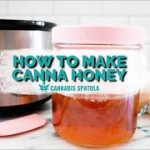 How to Make Cannabis-Infused Honey (CannaHoney): Recipe and Video -  cannabisspatula.com