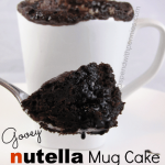 Nutella Mug Cake Recipe