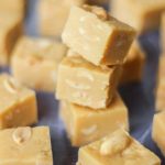 Peanut Butter Fudge | 4 Ingredient Condensed Milk Recipe