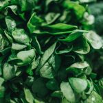 How To Substitute Fresh Spinach For Frozen? - The Whole Portion