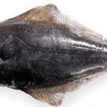Halibut - description of the fish. Health benefits and harms.