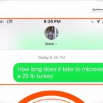 Turkey in microwave text prank goes viral