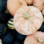 Butternut, acorn and spaghetti: Winter squash hits farmers market stands –  Boulder Daily Camera