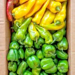 Recipe: Roasted Bell Pepper Paste – Claire Aucella