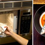 Microwave Cooking Is More Than Just Reheating Your Coffee - The New York  Times