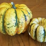 Recipe Keeper: Sweet Dumpling Squash and Carnival Squash