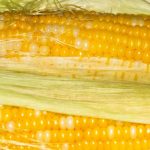 The best way to cook corn on the cob this summer is in your microwave