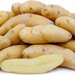 Russian Banana Fingerling Potatoes Information, Recipes and Facts