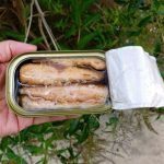 Can You Microwave Sardines? - Is It Safe to Reheat Sardines in the Microwave ?