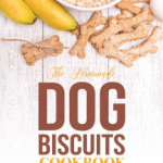 Read The Homemade Dog Biscuits Cookbook: Learn How to Make Your Own Homemade  Dog Treats Online by Martha Stephenson | Books