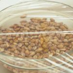 4 Ways to Cook Pinto Beans - wikiHow