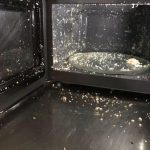 Put an egg in the microwave trying to “speed up the process”... it exploded  with such force it blew the door open.: facepalm