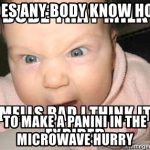 Does any body know how to make a panini in the microwave hurry -  aaaasdsdsds | Meme Generator