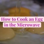 How to Cook an Egg in the Microwave! - My Mini Adventurer