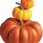 Healthy Recipes and Tips for Cooking with Pumpkin | Cooking Light