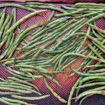 Steamed Green Beans in the Microwave • Steamy Kitchen Recipes Giveaways