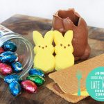 Bye Bye Bunny: Microwave Peep S'mores Recipe | Pretty Prudent