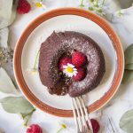 MOLTEN LAVA CAKE – Vegan & GF | FitQuest Nutrition