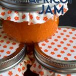 Dried Apricot Jam - Lord Byron's Kitchen