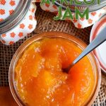 Dried Apricot Jam - Lord Byron's Kitchen