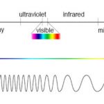 How Colour Works - Neil Oseman