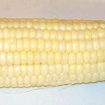 Microwave Corn : 4 Steps (with Pictures) - Instructables