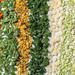 Hacking Healthy Eating with Frozen Vegetables - Your Health Forum