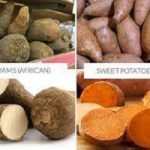 How Do You Cook Yams | How to Make African Yams - 9jafoods