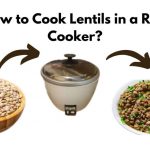 How To Cook Lentils In A Rice Cooker? Cooking Guide