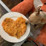 How To Make 10-Minute Mashed Potatoes or Sweet Potatoes For Your Dog -  Little Dog Tips