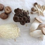 Korea's most common mushrooms · bburi kitchen