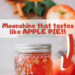Apple Pie Moonshine- Instant Pot Recipe - The Tasty Travelers