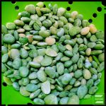 Roasted Lima Beans | buzzyfoods