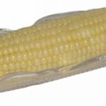 Microwave Corn on the Cob in the Husk