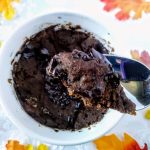 5 Minute Double Chocolate Pumpkin Mug Cake - Melissatraub.com