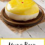Layered Pastry and Mung Bean Cake (Banh Pia) - Scruff & Steph
