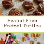 ROLO Pretzel Turtle Bites (Peanut Free!) •