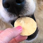 Easy DIY No-Bake PB&Banana Dog Treats – Red Shoes. Red Wine.