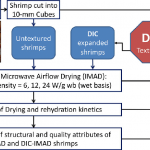 Protocol of different drying processes of shrimp; intermittent... |  Download Scientific Diagram