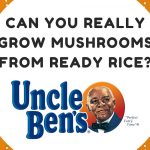 Easiest tek ever? Can you really grow mushrooms from an Uncle Bens Ready  Rice package? - Magic Mycology