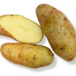 Russian Banana – Tasmanian Gourmet Potatoes | Buy Online Seed Potatoes