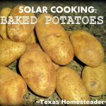 Solar Cooking: Baked Potatoes Using Just The Sun! - Texas Homesteader
