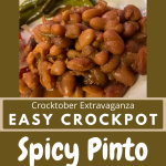 Crockpot Spicy Pinto Beans – No Soaking Necessary – Parsnips and Parsimony
