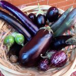 Get cooking: A recipe for Mashed Curried Eggplant (Baigan Bharta)