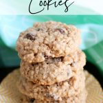 Oatmeal Raisin Cookies Your Family Will Devour - Easy Peasy Pleasy