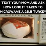 What is microwave turkey prank? Thanksgiving joke about 25-pound turkey  goes viral - al.com