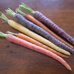 Need Some New Carrot Recipes? | jovina cooks