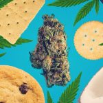 Best Edibles For When You're Low On Weed • Green Rush Daily